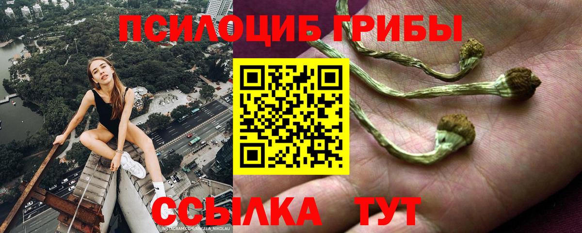 Ессентуки  Галлюциногенные грибы Cubensis  как найти закладки  Вход с VPN 